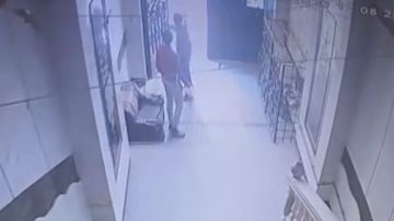 سحل وقسم شرطة ومحضر ضحية 5 قطط يكشف حكاية فيديو صادم وسرقة علني سحل وقسم شرطة ومحضر ضحية 5 قطط يكشف حكاية فيديو صادم وسرقة علني