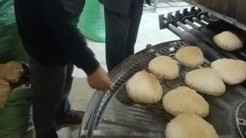 حملات تموينية على المخابز البلدية خلال ثاني أيام عيد الفطر بالبحيرة حملات تموينية على المخابز البلدية خلال ثاني أيام عيد الفطر بالبحيرة