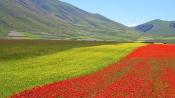 الشركات مدعوة لحماية الطبيعة أو مواجهة خطر الانقراض الشركات مدعوة لحماية الطبيعة أو مواجهة خطر الانقراض