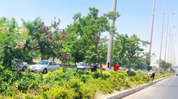 تتراوح بين 5 و20 جنيها.. ياسر أسعد: الحدائق استعدت بشكل مبكر لاستقبال المواطنين تتراوح بين 5 و20 جنيها.. ياسر أسعد: الحدائق استعدت بشكل مبكر لاستقبال المواطنين