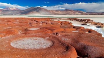 مملكة خفية تحت الرمال.. كيف تحكم ديدان مجهرية الحياة في أكثر صحارى الأرض جفافا؟