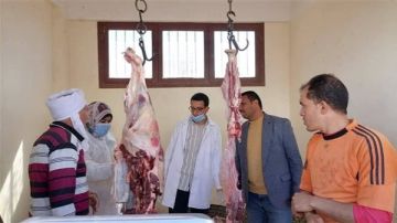 الوادي الجديد .. تحرير 63 مخالفة تموينية خلال حملات مكبرة على الأسواق والمخابز