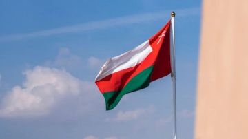 الجالية المصرية في عمان: استقرار كامل وعودة تدريجية للحياة الطبيعية الجالية المصرية في عمان: استقرار كامل وعودة تدريجية للحياة الطبيعية