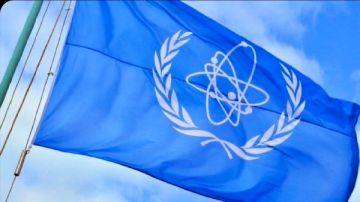 الطاقة الذرية تحذر من هشاشة قصوى في محطة زابوروجيا .. وتدعو لهدنة عاجلة