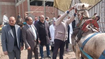 محافظ الدقهلية يتابع جهود مديرية الطب البيطري في تسيير قوافل بيطرية محافظ الدقهلية يتابع جهود مديرية الطب البيطري في تسيير قوافل بيطرية