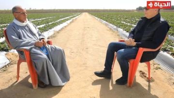 معلم أزهري يكتب قصة نجاح في استصلاح الصحراء وزراعتها