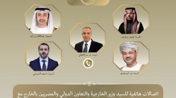 وزير الخارجية: نرفض أي ذرائع للمساس بسيادة الدول.. والأمن القومي العربي وحدة لا تتجزأ