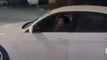 أنا مش متحرش أنا بعاكس.. فيديو متداول لشاب يعاكس فتاة في الشارع أنا مش متحرش أنا بعاكس.. فيديو متداول لشاب يعاكس فتاة في الشارع