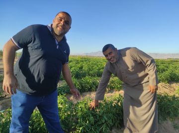 الزراعة: تخفيض 50 من خدمات الميكنة ودعم شامل لمزارعي سيناء