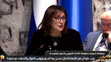 مفوضة الاتحاد الأوروبي: الشراكة الاستراتيجية مع مصر فتحت فرصا كبيرة لاقتصادتنا مفوضة الاتحاد الأوروبي: الشراكة الاستراتيجية مع مصر فتحت فرصا كبيرة لاقتصادتنا