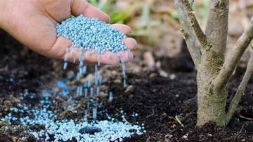 الزراعة: استقرار كامل في إمدادات الأسمدة المدعمة ولا نقص في الحصص المدعمة