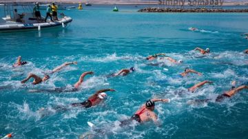 السياحة ترعى بطولتي كأس العالم للسباحة في المياه المفتوحة وكأس مصر للفروسية السياحة ترعى بطولتي كأس العالم للسباحة في المياه المفتوحة وكأس مصر للفروسية