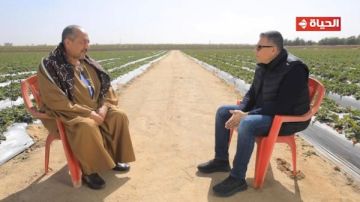 بيصدر فراولة وعنب.. رحلة ملهمة للحاج علي مع استصلاح الاراضي أجمل ناس