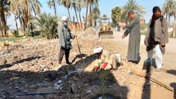 تحويل 9 مواقع قمامة لمساحات خضراء بـ أولاد عمرو فى قنا تحويل 9 مواقع قمامة لمساحات خضراء بـ أولاد عمرو فى قنا