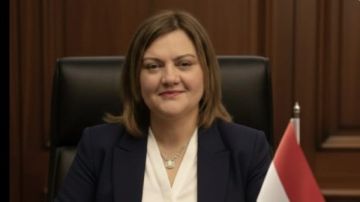 حماة الوطن: أمن المواطنين في الخارج أولوية قصوى للدولة ومصر تدير الأزمة بتوازن