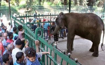 حدائق الحيوان والأسماك تستقبل 67 ألف زائر في أول يومين من عيد الفطر