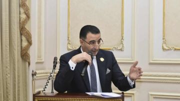 وكيل صناعة الشيوخ: القيادة المصرية تلعب دورا محوريا في تعزيز التضامن العربي