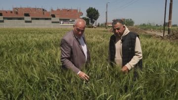 تحذير عاجل من الزراعة.. شراء التقاوي من أماكن مجهولة يهدد محصولك تحذير عاجل من الزراعة.. شراء التقاوي من أماكن مجهولة يهدد محصولك