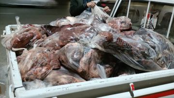 قبل عيد الفطر.. ضبط 9 أطنان من الأسماك المملحة المدخنة وأغذية فاسدة بالجيزة قبل عيد الفطر.. ضبط 9 أطنان من الأسماك المملحة المدخنة وأغذية فاسدة بالجيزة