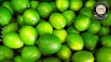 الزراعة تعلن فتح السوق السلفادوري أمام صادرات مصر من محصول الليمون