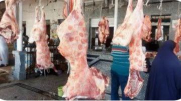 استقرار أسعار اللحوم الطازجة بأسواق الوادي الجديد.. كم وصلت؟