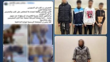 الداخلية تكشف حقيقة تعدي 4 أشخاص على كلب في السويس