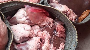 ضبط 345 كيلو لحوم ودواجن وأسماك مدخنة رنجة غير صالحة بالغربية