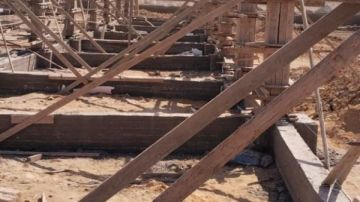 بشكل رسمي.. بدء تنفيذ مشروع شلتر الكلاب الضالة بمحافظة القاهرة بشكل رسمي.. بدء تنفيذ مشروع شلتر الكلاب الضالة بمحافظة القاهرة