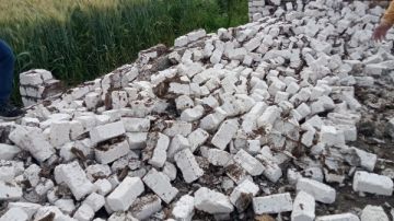 حملة لإزالة التعديات على الأراضي الزراعية في بنها حملة لإزالة التعديات على الأراضي الزراعية في بنها