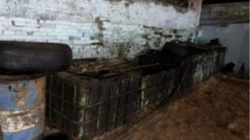 ضبط صانعة محتوى بتهمة غسل 15 مليون جنيه من نشر مقاطع مخلة بالآداب