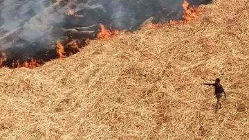 تزامنا مع نشاط الرياح.. محافظ قنا يناشد المزارعين بعدم حرق مخلفات القصب