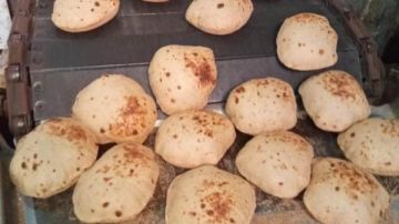 ضبط 160 كجم أسماك غير صالحة للإستهلاك الآدمي في المنوفية