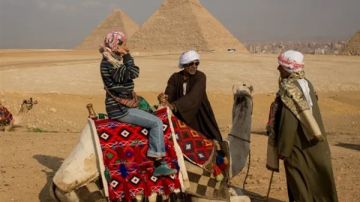 نقابة السياحيين.. إجراءات تنظيم تأجير الدواب بـ المناطق الاثارية فيديو