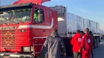 الهلال الأحمر المصري يدفع بـ76 ألف سلة غذائية عبر زاد العزة 154 إلى غزة