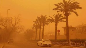 تعطيل الدراسة بسبب العاصفة الترابية.. التعليم تكشف الحقيقة