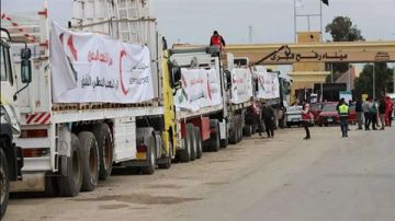 زاد العزة الـ 157.. مصر تواصل إرسال قوافل الإنسانية لدعم غزة فيديو