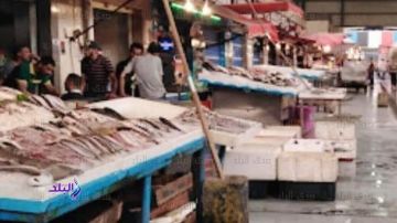 استقرار أسعار الأسماك والجمبري اليوم استقرار أسعار الأسماك والجمبري اليوم