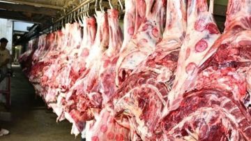 الزراعة تضبط 310 أطنان من اللحوم ومنتجاتها غير المطابقة للاشتراطات الصحية خلال فبراير