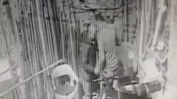 ضبط المتهم بالاعتداء على حماه لخلافات أسرية بالمحلة.. صور