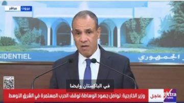 وزير الخارجية: مصر ملتزمة بدورها في الشرق الأوسط وتسعى لتعزيز الاستقرار
