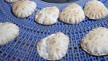 تحرير 155 محضرا ضد المخابز وضبط طن أسماك مدخنة ومجمدة بكفر الشيخ