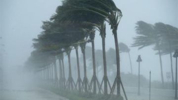 عاصفة تضرب مصر.. أمطار رعدية وبرد ورياح قوية تبلغ ذروتها اليوم وتحذيرات عاجلة للمواطنين عاصفة تضرب مصر.. أمطار رعدية وبرد ورياح قوية تبلغ ذروتها اليوم وتحذيرات عاجلة للمواطنين