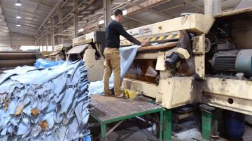 منظمة العمل الدولية ترصد طفرة في تطوير صناعات الجلود والرخام بمصر