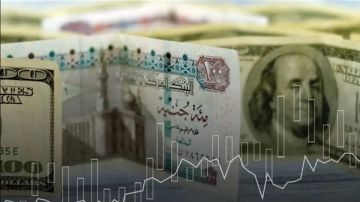 توقعات بتثبيت أو رفع أسعار الفائدة للحد من ارتفاع الدولار مقابل الجنيه عاجل