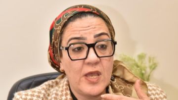 داليا الأتربي : أمن واستقرار الدول العربية خط أحمر في السياسة المصرية داليا الأتربي : أمن واستقرار الدول العربية خط أحمر في السياسة المصرية