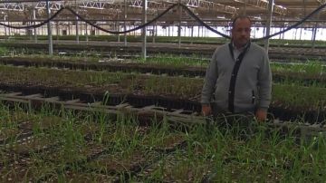 الزراعة: التوسع في تقديم الخدمات الإرشادية والدعم الفني للمزارعين بالمحافظات