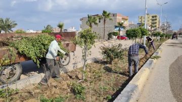 محافظ كفر الشيخ يتابع زراعة الأشجار في مصيف بلطيم.. صور