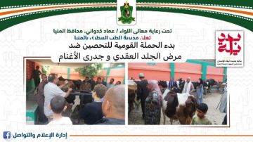 بدء الحملة القومية للتحصين ضد الجلد العقدي وجدري الأغنام بالمنيا