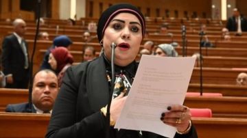 برلمانية : كلمة الرئيس السيسي في إفطار الأسرة المصرية تعكس رؤية واضحة لدعم الاستقرار الإقليمي