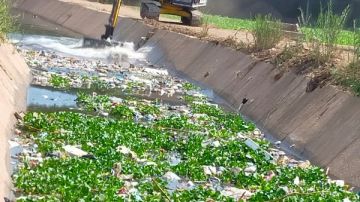 زراعة المنوفية: ترخيص 161 مشروع متنوع خلال شهرين وتطهير 455 كم مساقي خصوصية